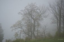 _AAA7763 - Version 2.jpg