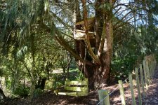DSC_2782.jpg
