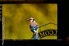 monitor-7472.jpg