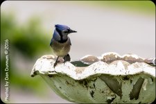 Post Lunch Porch sittin-7525.jpg