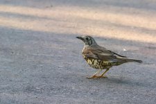 May 15, 2016-0052-Edit.jpg