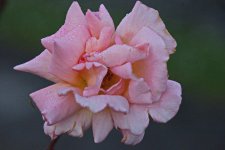 DSC_2846.jpg