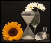 Sunflower, Dasies, Sand Timer, and Crystals 5-19-2016.jpg