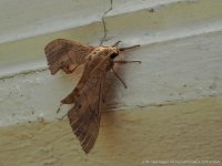 walk1-25.jpg