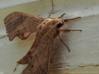 walk1-26.jpg