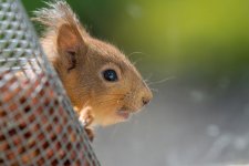 DSC_0751.jpg