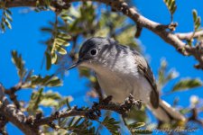 DSC_0717.jpg