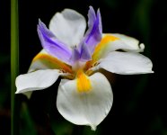 ROY_7494.JPG