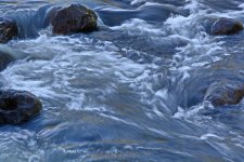 DSC_2952 LQ.jpg