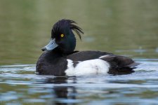 DSC_0120.jpg