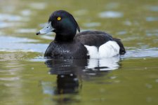 DSC_0129.jpg