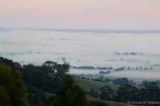 DSC_0593_Soft_12.jpg
