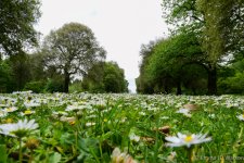 DSC_0292_LowAngle_21.jpg