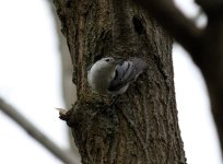 DSC_5050.jpg
