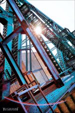 5-18-16  Steel Yard   23.1.jpg