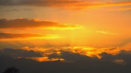 DSC_2850.jpg