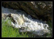 Farmington Creek 5-21-2016.jpg