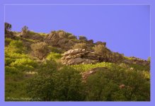 Top of Farmington Canyon  #2 5-21-2016.jpg
