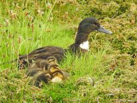 DSCN3539.jpg