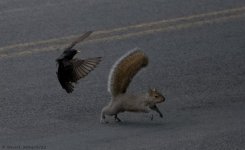DSC_5178.jpg