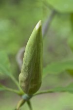 _AAA8005 - Version 2.jpg