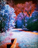 5-22-16 Edgewater IR    5.jpg