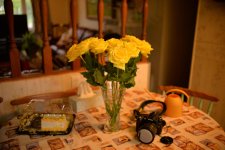 DSC_3316+Yellow Roses-0001.jpg