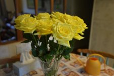 DSC_3331+Yellow Roses D610-0002.jpg