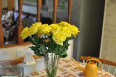 DSC_0246+Yellow Roses D90 -0001.jpg