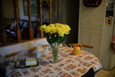 DSC_3323+Yellow Roses D610-0001.jpg