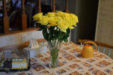 DSC_3326+Yellow Roses D610-0005.jpg
