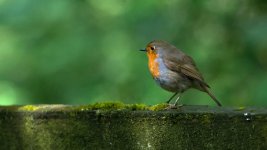May 22, 2016-0085-Edit.jpg