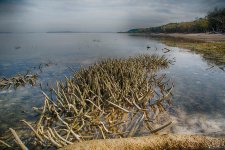 16A_2052HDR_web.jpg