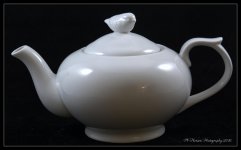 White Tea Pot 5-14-2016.jpg
