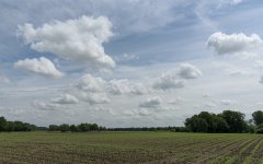 _DSC9910-1.jpg