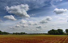 _DSC9910.jpg