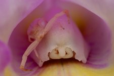 DSC_7287.jpg