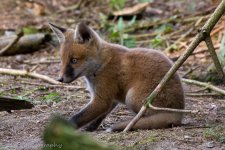 DSC_1205.jpg