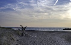 DSC_0584w_.jpg