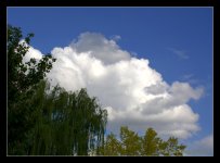 Puffy Clouds #3 5-25-2016.jpg