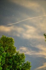 DSC_3405.jpg