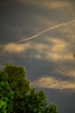 DSC_3406.jpg