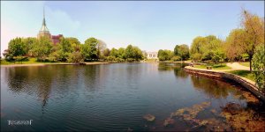 5-25-16 UnivCircle Pano 3.1.jpg