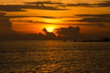 ForNikonites-2.jpg