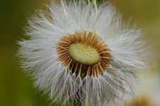 DSC_3651.jpg