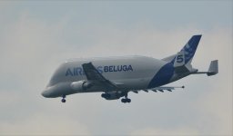 DSC_0624.jpg