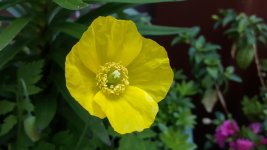 20160528_110316-Edit.jpg
