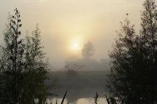 DSC_2218.jpg