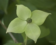 _AAA8162 - Version 2.jpg