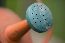 DSC_3740.jpg